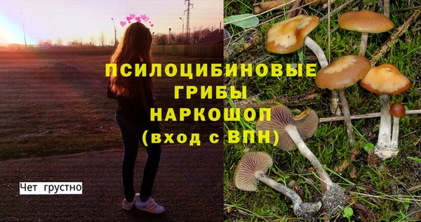ALPHA-PVP Арсеньев