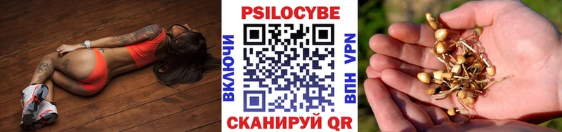 Галлюциногенные грибы Magic Shrooms  Теберда 